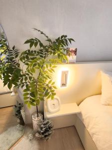 Stay Yeon in Sinchon - 신촌역 도보 9분, 공항 버스 도보 4분