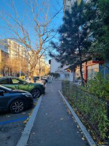 The Wooden Line - Modern Retreat near Victoriei