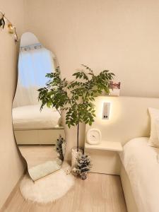 Stay Yeon in Sinchon - 신촌역 도보 9분, 공항 버스 도보 4분