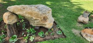 Soul Soothing Valley