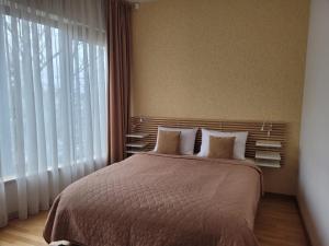 Saulės Sonata Etude