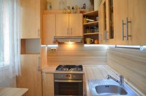 Spacious flat in a quiet spot of Frýdek-Místek