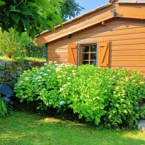 les chalets montagne alta rocca