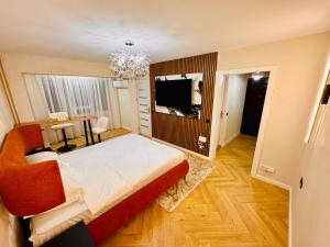 Studio Confort Craiova