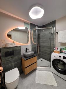 Studio Confort Craiova