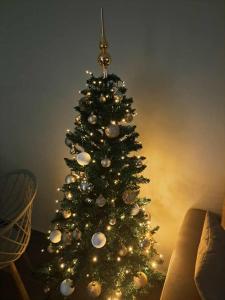 Elegant City Center Apartment