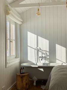 Ragnar Glamp Koknese Forest