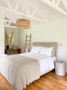 Ragnar Glamp Koknese Forest