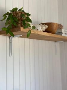 Ragnar Glamp Koknese Forest