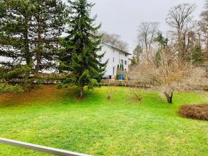 Modernes 1 Zimmer Appartement direkt am Wörthsee