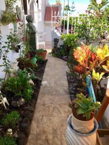 Tegueste cute studio