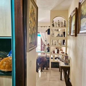 Tegueste cute studio