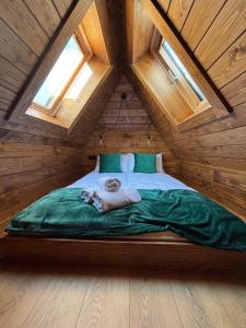 III Apartamenty Mecenasówka Zakopane