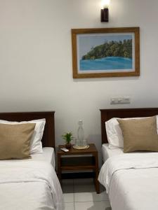 Surfn Lanka - Surf School