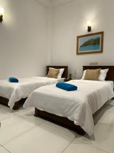 Surfn Lanka - Surf School