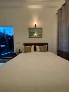 Surfn Lanka - Surf School