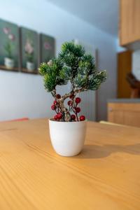 CampiglioPanoramicApartment 2 Free Parkings