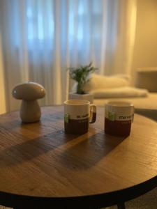 Appartamento completo, ben attrezzato con giardino