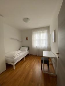 Appartamento completo, ben attrezzato con giardino