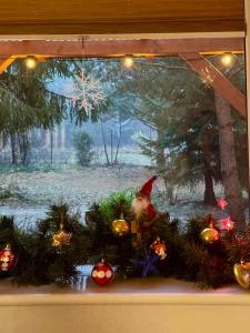 Sworny Bór- całoroczny