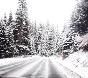 Студио PANORAMA MOUNTAIN, до ски писта Пампорово-Стойките