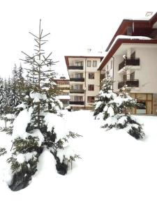 Студио PANORAMA MOUNTAIN, до ски писта Пампорово-Стойките