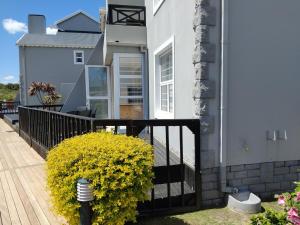 Coastal Life Jamaican Jewel