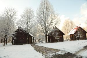 Bogolvar Retreat Resort