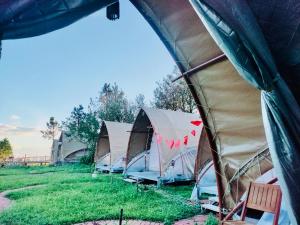 Tà Xùa Glamping