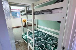 The Swan Flotel - Barton Marina