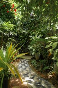 Plant Mama Guest House