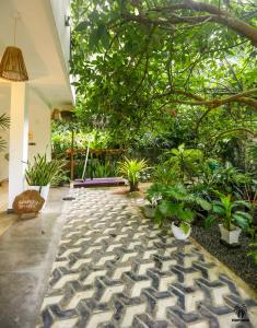 Plant Mama Guest House