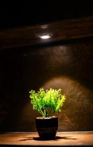 Chic Signature Stay By the Train Station