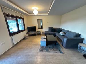 ANTHEMIs COTTAGE RED