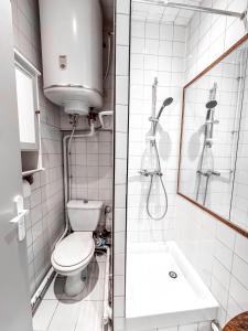 Studio typique toulousain