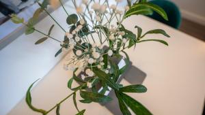 The Townhouse - FREE Parking & Wi-FI