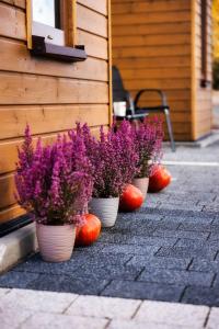 Radkowskie Apartamenty Julia z widokiem na zalew i gory