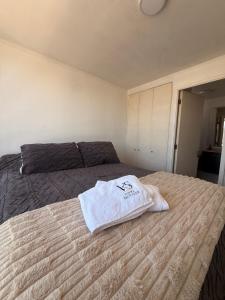 Vista Panorámica gran Concepción