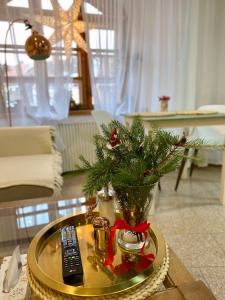 Apartments Loket No 59 se zahradou