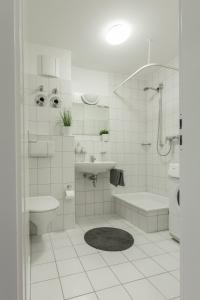 Lovely 1 room apartment near Basel