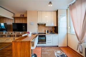 Flex SelfCheckIns 197 - Zagreb - Studio Apartman - WIFI