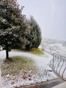 Villa Magnolia Oliveti