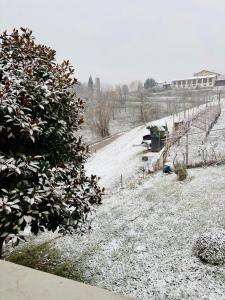 Villa Magnolia Oliveti