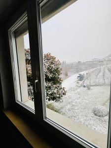 Villa Magnolia Oliveti