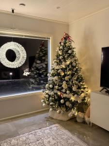 Arctic Riverside home