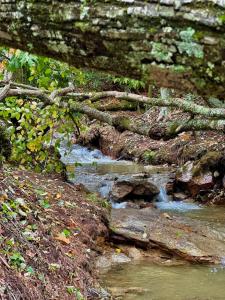 Hidden Creek Cabin at MontEagle