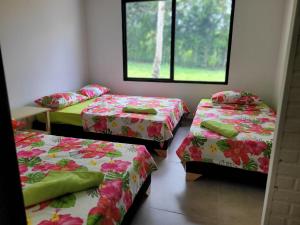 Casa Turística El Amparo