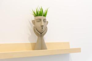 Pizarro Apartments !