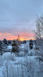 Renovated 2 bedroom aparment