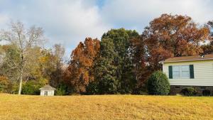 Farm Stay at Golden Meadows